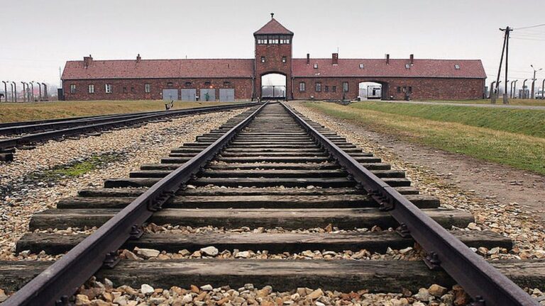 Contration Camp
