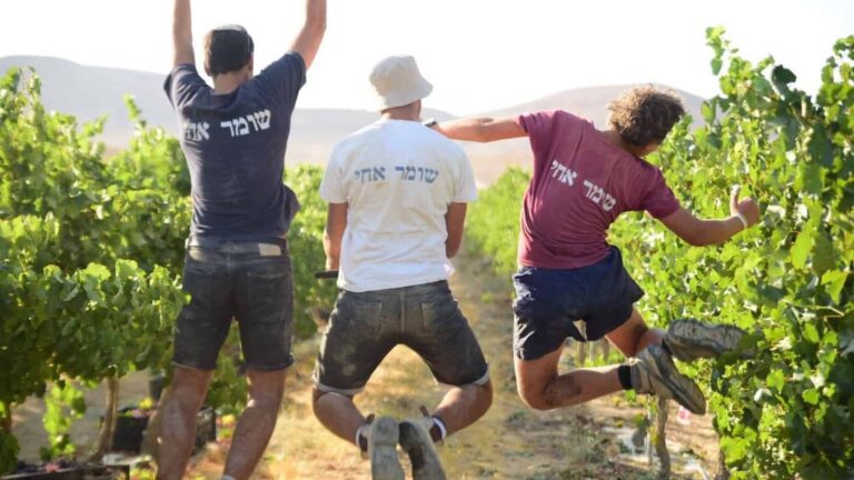 Volunteer programs
