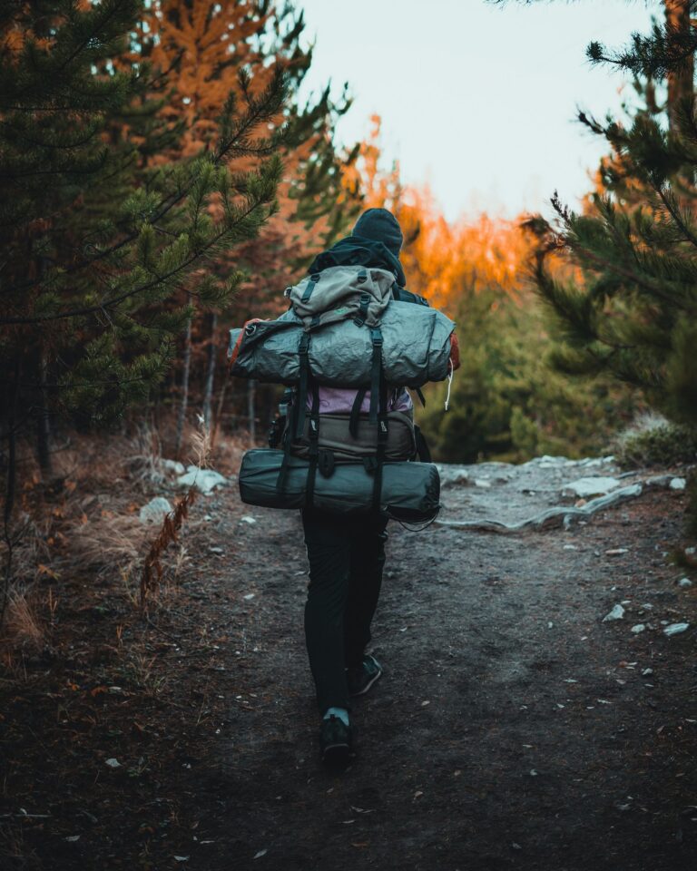 sylas-boesten-PjQS_lhv3ZA-unsplash-min